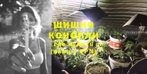 эйфоретик Майский