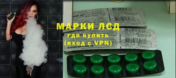 ПСИЛОЦИБИНОВЫЕ ГРИБЫ Магас