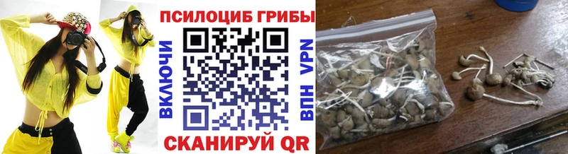 ссылка на мегу tor  что такое   Магнитогорск  Псилоцибиновые грибы Magic Shrooms 